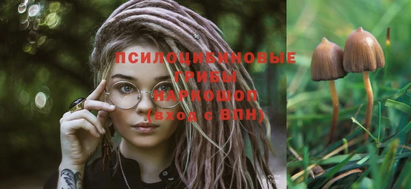 мет Михайловск
