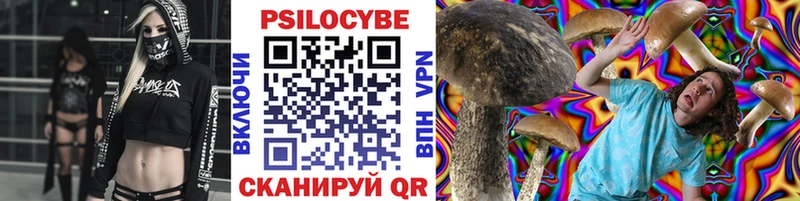 Купить  Кадников  Галлюциногенные грибы ЛСД 